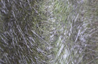 Barrow Street fibreglass roof work